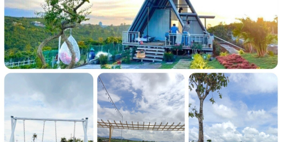 Homestay nghĩ dưỡng tại Bảo Lộc 920tr sở hữu ngay