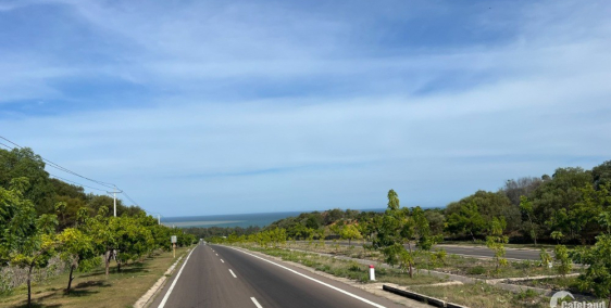 Bán vườn Điều 1000m2 gần Biển 2km, giáp KDL Bàu Trắng