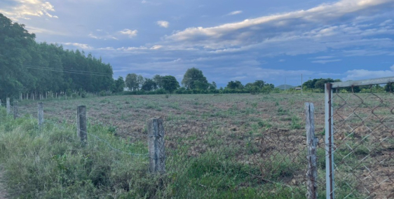 Bán 2728m2 đất sào hàm thuận bắc 690tr đối diện safari cách QL1A 650m 0938677909