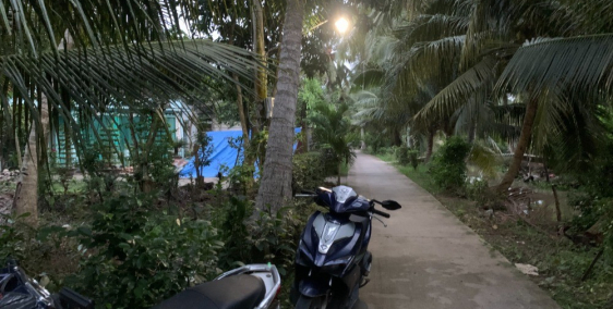 ĐẤT VƯỜN BÌNH THÀNH GẦN TRUNG TÂM GIỒNG TRÔM ĐƯỜNG Ô TÔ