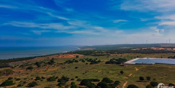 Đất Vườn Điều cách Biển 2.8km - Gần nút giao Cao Tốc Phan Thiết 6km