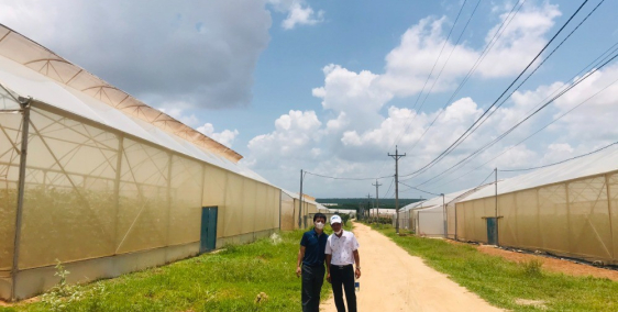 Đất vườn 490tr 2726m2 giáp đường QL1A chỉ 1.5km - gần Ngã 3 Lương Sơn