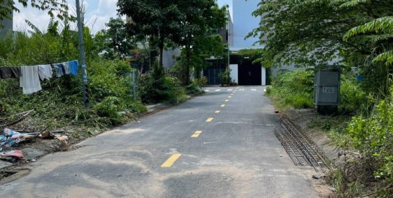 chủ kẹt cần bán RẤT GẤP lô đất nền dự án diamond town phường phú hữu quận 9