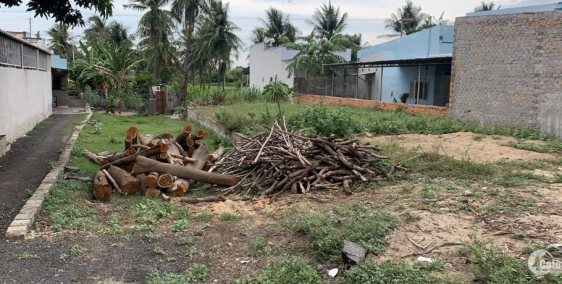 bán đất ont tại mặt tiền QL1A SHR giá đầu tư có thể thương lượng thêm