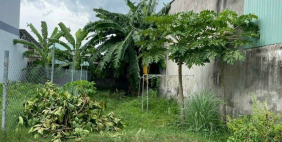 Bán đất thổ cư sổ hồng riêng 380 triệu diện tích 6x20 Hóc Môn