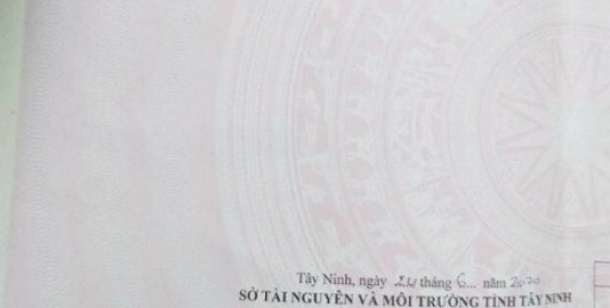 Rớt nhanh lô 1000m2 (20x50) giá rẻ