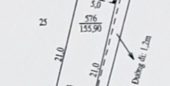 Mặt tiền Mạc Thiên Tích - Đoạn thông qua Đại học Cần Thơ