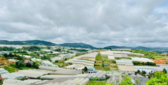 Bán đất KQH Bạch Đằng - Ngô Quyền phường 6 Đà Lạt thích hợp an cư