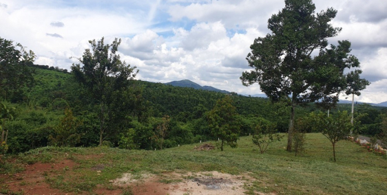 Đất Xanh Minitown An hòa giá 6tr/m2 đường Liên Xã kết nối QL20 & DT725