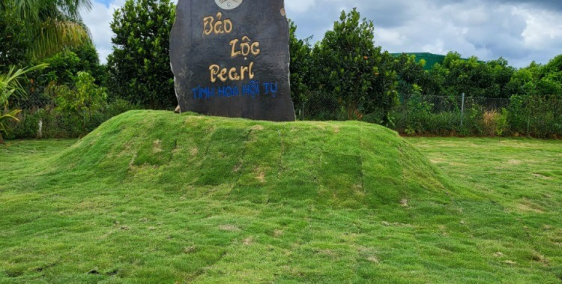 Bảo Lộc Pearl - Biệt thự nghỉ dưỡng giữa lòng thành phố