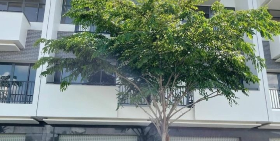 Bán nhanh căn shophouse tâm huyết VCN Phước Long 2 Nha Trang