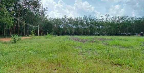 Cần bán đất gấp Tân Biên-Tây Ninh