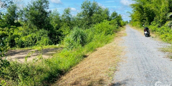 1000m2 Mặt tiền View Sông + Lộ Nhựa, Huyện Bến Lức