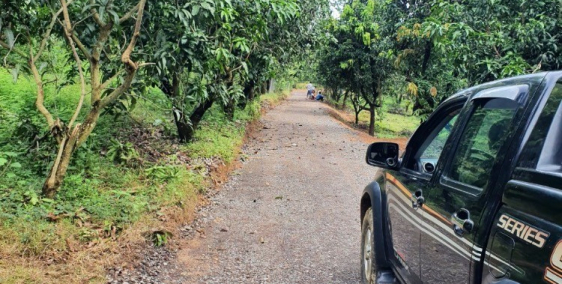 Bán gấp và nhanh mảnh vườn 1.1ha ngay sông La Ngà