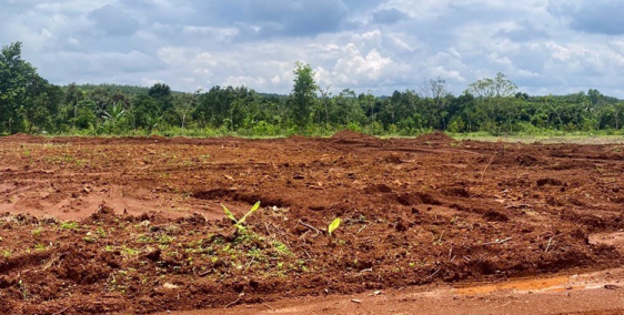 Bán đất nền giá cực hấp dẫn nhiều tiềm năng