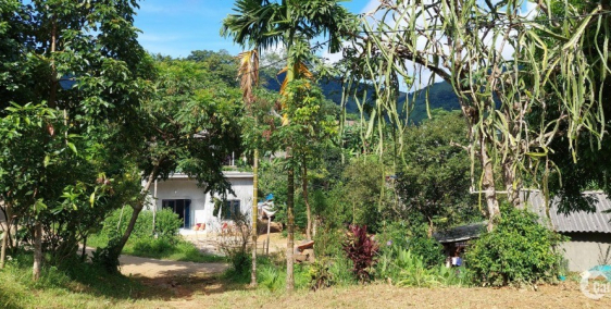 Sở hữu ngay mảnh đất nghỉ dưỡng sẵn nhà bám đường nhựa 3400m giá rẻ tại Cao Phon