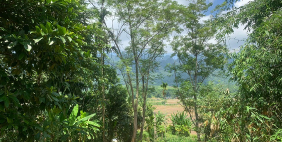 Siêu phẩm Lỗ Sơn view siêu đẹp diện tích 1516,6m có 400ont thế đất cao