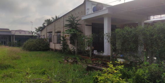 Chính chủ cần bán nhà tại Tân Lộc, Gia Lộc, Trảng Bàng