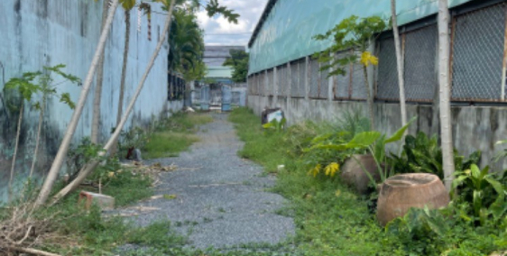 cần tiền xoay sở bán đất dài nở hậu,có thể tách thành 3 nền