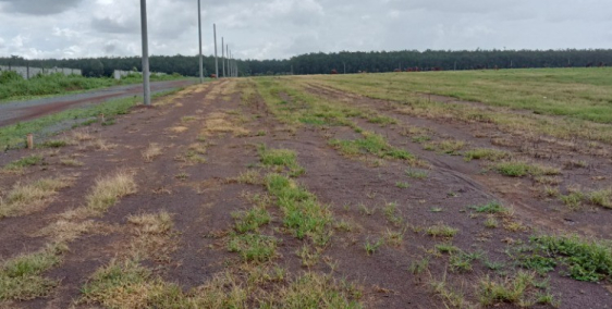 Đất ngay Trung Tâm thị xã Bình Long (bình phước)