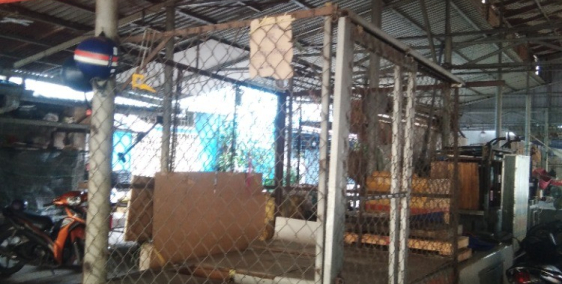 Cho Thuê Mặt Bằng đối diện Chung cư