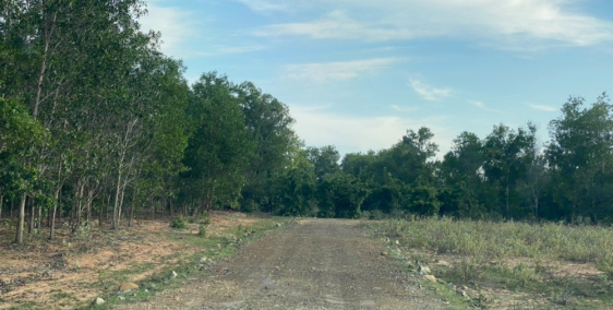 CẦN RA 4 LÔ LIỀN KỀ CHỈ 120K/M2 NGAY KHU VỰC XÃ SÔNG LŨY