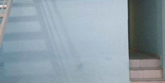 Cho thuê nhà chính chủ, nguyên căn bên hông cao ốc đất phương nam