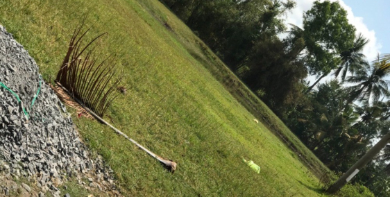 Cần bán Đất Xã An Thuận,- Bến tre, Diện tích 1500m² Giá 1.8tr/m2