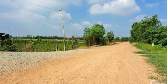 Đất lúa trong vòng 1km cư dân đông đúc