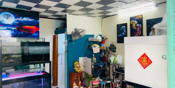 NHÀ 1 XẸT DƯƠNG VĂN DƯƠNG, TÂN QUÝ, TÂN PHÚ, NHỈNH 1 TỶ.