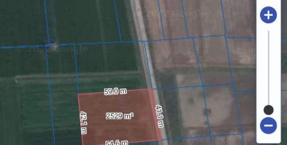 Anh tôi cần bán gấp đất trồng lúa Đức Hòa Thượng, Đức Hòa, 2529m2