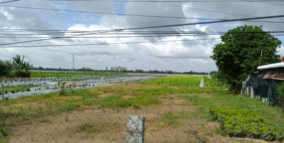 Đất mặt tiền rẻ kênh Thầy Lâm, thuộc xã Long Hưng B, Lấp Vò