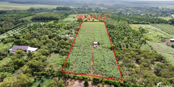 Mua bán đất xã Cẩm Đường Long Thành mặt tiền VĐ 4 liền kề sân bay Long Thành