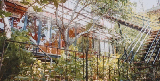 Bán Khu homestay 2 Mặt Tiền Triệu Việt Vương - P3 - Đà Lạt - Lâm Đồng.1557