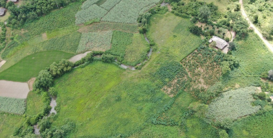 Bán Gấp gần 1,3ha bám suối dài sát đường nhựa liên xã giá cực rẻ chỉ 2xxk/m2