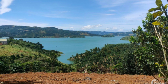 Chủ kẹt tiền cần bán hơn 2 ha view sông Đồng Nai,xã Liên Hà,Lâm Hà,Lâm Đồng