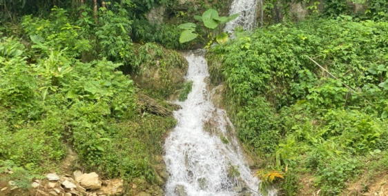 3500m chỉ 1,x tỷ có thác có ao trong đất Nghỉ dưỡng Nhà Vườn Tuyệt Vời