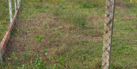 Đất cần bán thành phố Tây Ninh