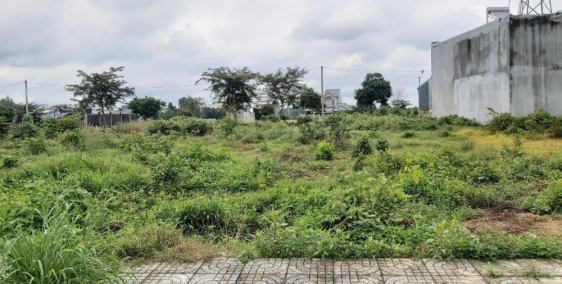 Bán nhanh lô đất 140m2, mặt tiền tỉnh lộ 8 đối diện KCN Đức Hòa, gần dự án Nova