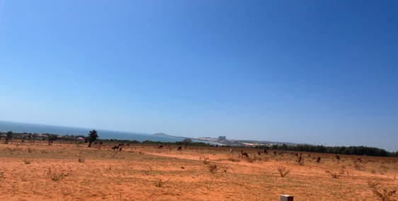 11.000m² view biển.đồi điện gió