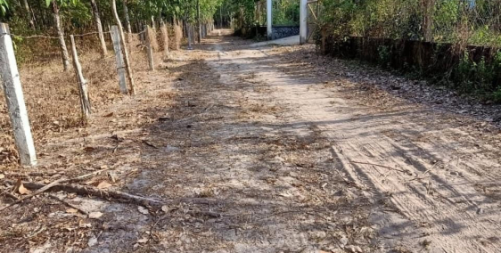 Chủ ngộp cần ra gấp lô đất thuộc Xã Định An, Huyện Dầu Tiếng, Bình Dương.