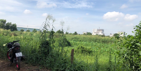 Cần bán lô đất nông nghiệp sau lưng chợ Đầu Mối