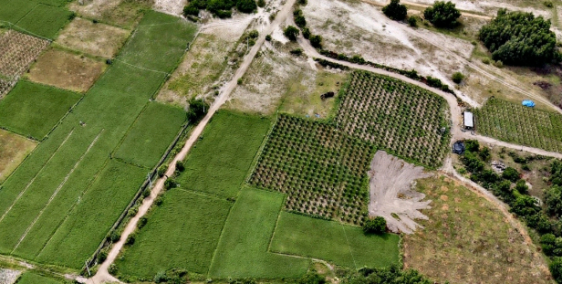 Cần bán 1600m² đất nông nghiệp cách biển và khu dân cư 700m