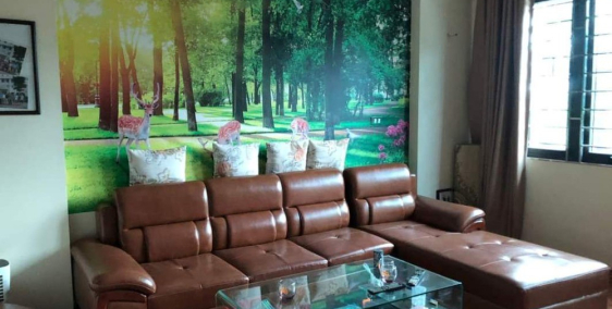 Mặt phố Quang Trung sầm uất gần phố Ngô Thì Nhậm 41m2x4T chỉ 8.99 tỷ.