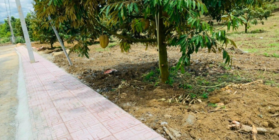 kẹt tiền giảm mạnh 100tr, xuống còn 1.2 tỷ/lô sổ sẵn, công chứng ngay có thổ cư