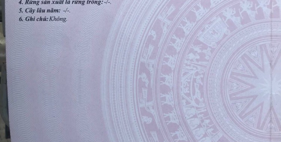 Hàng ngộp bank có 1 không 2, 1100m2 Full thổ.