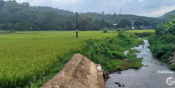 chỉ 500tr  Đất ngay khu Phân Lô Thị Trấn giá quá rẻ 789m Đất ở Đô Thị