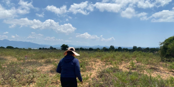 đất cách hồ Rạng Đông 500m , đường xe tải 6m hơn 2 sào giá 753 triệu