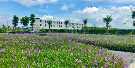 Còn 1 lô góc The Sol City, cần ra nhanh để tất toán bên ngân hàng