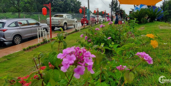 Bán đất trung tâm hành chính, sổ sẵn có thổ vững chắc công chứng ngay